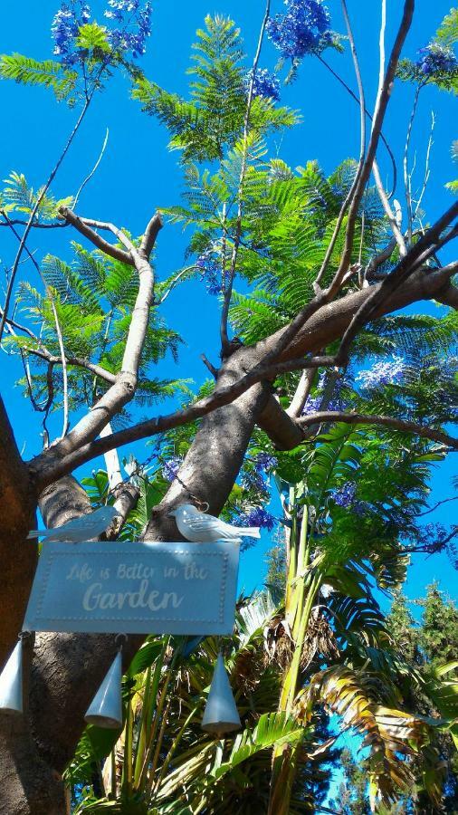 Hacienda Sol Trapiche Villa Trapiche  Ngoại thất bức ảnh